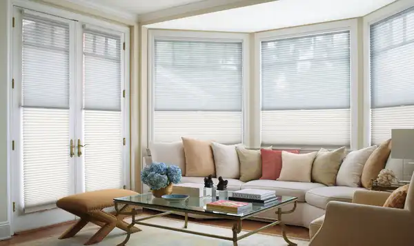 Living Room with window treatments